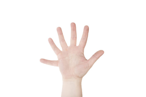 【閲覧注意】手の指が６本生えてるんだが、今から１本切り落とすｗｗｗ（動画あり）