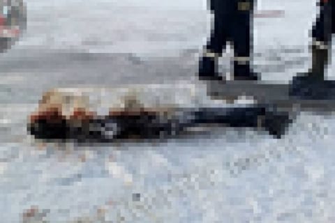 【閲覧注意】高さ30mから氷の上に叩きつけられた人間の死体、信じられない・・・（画像）