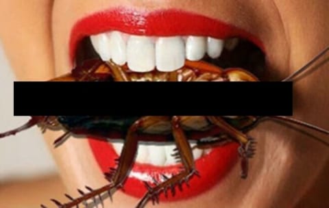 【狂気】ゴキブリを食べてしまった女性、口の中に殺虫スプレーを噴射し続けた結果・・・
