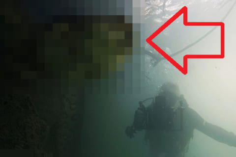 【超驚愕】アマゾン川ダイバーさん、水中でモンスター級の化け物と遭遇してしまう…