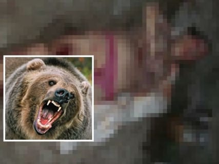 【閲覧注意】クマは獲物を ”生かしたまま” 食べるらしい ⇒ それがもし女性だったら…（画像）