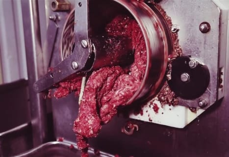 【閲覧注意】肉挽き工場で1歳の子供から目を離した結果・・・（画像あり）