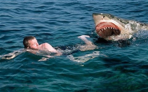 【閲覧注意】海外のビーチでサメに襲われた男性が救出されるも、その姿にビーチが大パニック