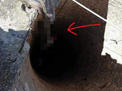 【閲覧注意】地下40mの井戸に100日間落ちてた人間が引き上げられる。これは凄い（画像あり）