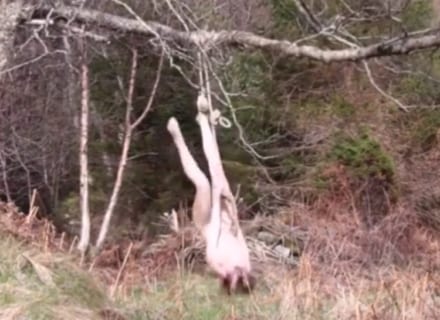 【動画】森の中で自分を縛りつけた全裸女、動けなくなってしまいこうなるｗｗｗ