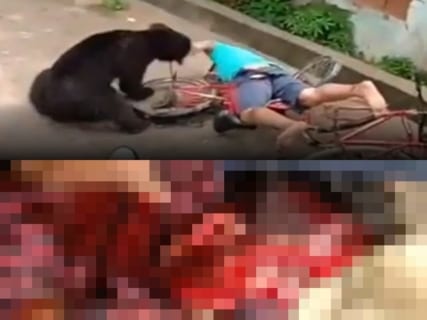 【閲覧注意】野生の熊 vs. 3000人の住民。こうなる（衝撃動画）