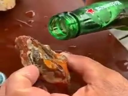 【動画】絶対に開かない貝に「ビール」を掛けた結果すごい事に・・・