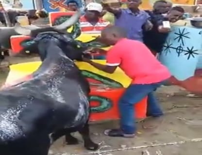 【閲覧注意】恐怖映像。生きてる牛から直接「牛タン」を食べる男