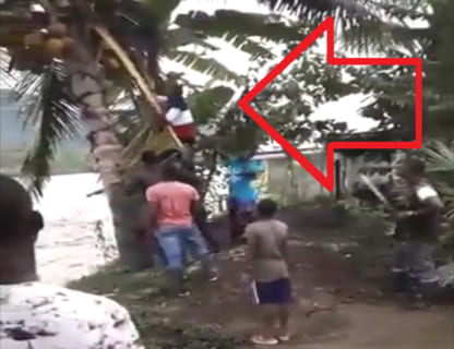【衝撃映像】子供にココナッツの実を取ってあげてたおじさん、めっちゃ怖い死に方する