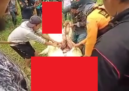 【閲覧注意】インドネシアで ”モンスター級の化け物” が8歳児を丸呑みにしてしまう（動画）