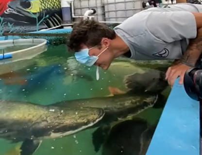 【衝撃映像】水族館で巨大魚に顔を近づけたDQN、次の瞬間…！！