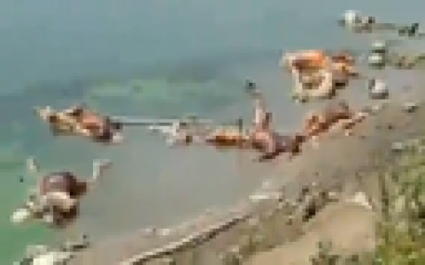 【閲覧注意】インドのガンジス川、ヤバい事になる（動画あり）