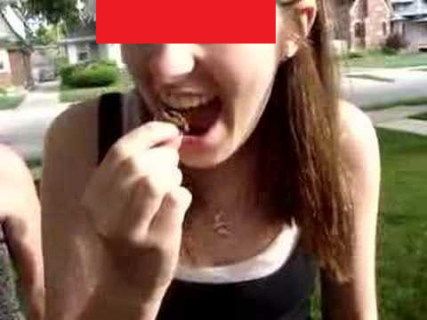 【閲覧注意】恐怖映像。アメリカで17年ゼミを次々と捕まえ、むしゃむしゃと食う女