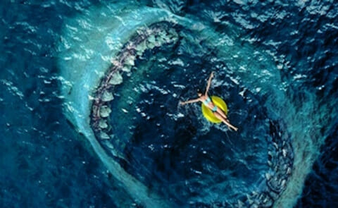 【閲覧注意】海水浴場にホオジロザメが現れた結果・・・恐ろしい事に・・・（動画あり）