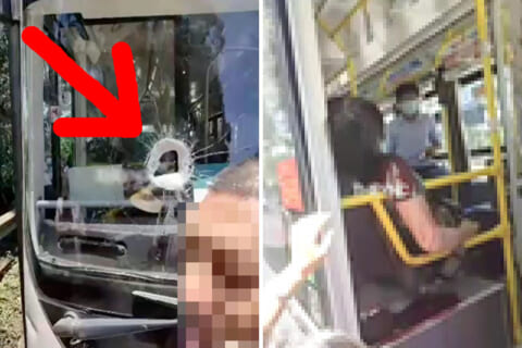 【閲覧注意】バスに飛んできた石、フロントガラスを突き破り乗客女性の頭を貫く