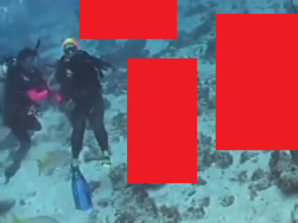 【閲覧注意】海底ではこんな残酷な事が毎日起きているという現実・・・（動画あり）
