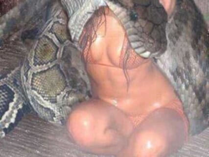 【超驚愕】アマゾンで10m超の人食いヘビ（アナコンダ）が捕獲される。完全に化け物だわ…