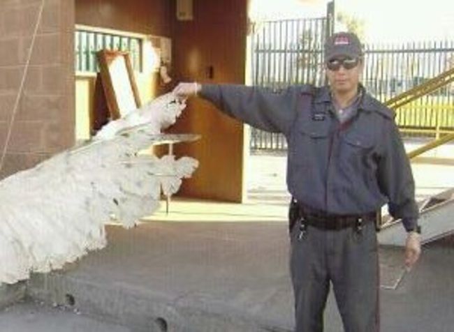UMA「鳥人（hombre pajaro）」発見か。アメリカで化け物サイズのフクロウが発見される