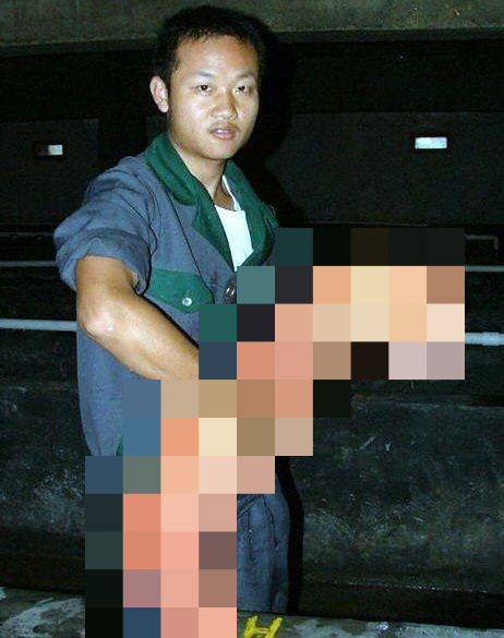 あなたは【この生き物】を見たことがありますか？［1］images