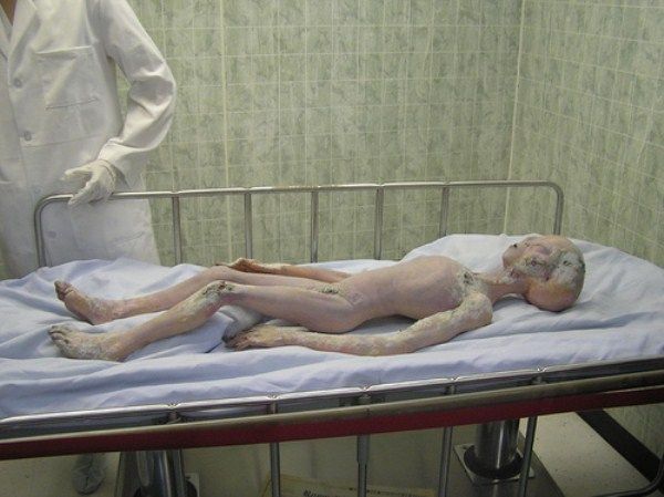 少なくとも「よく出来ている」エイリアンの死体集