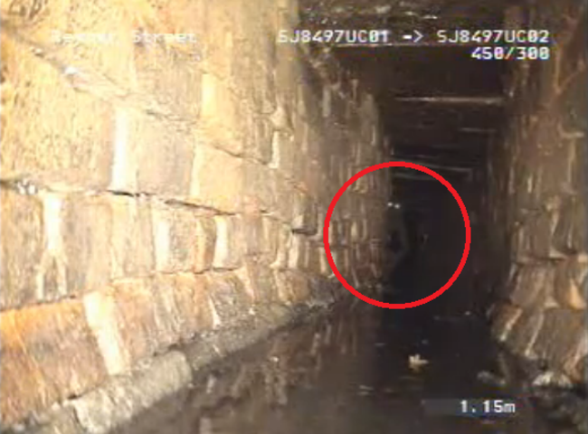 下水道で撮影された人間のようなクリーチャーの映像が怖すぎる