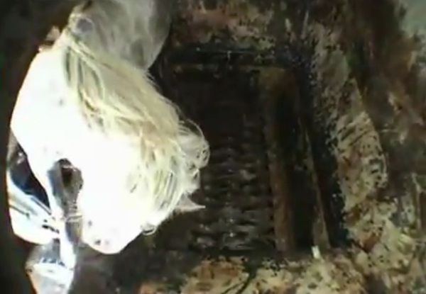 【閲覧注意】死んだ家畜（牛や馬）は巨大なシュレッダーに放り込めばいい
