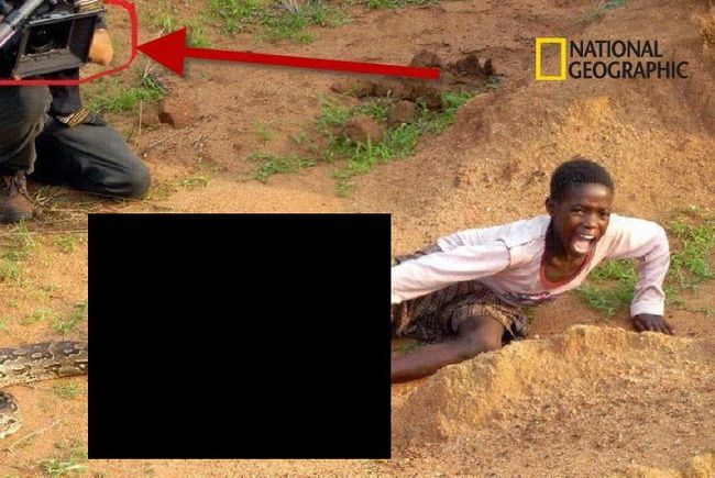 ナショナルジオグラフィック マジで酷すぎだろって写真（1枚）
