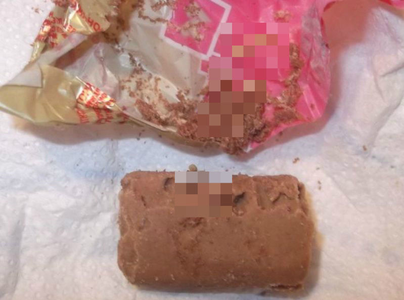 子供に買ってあげたチョコレートの中から謎の生物