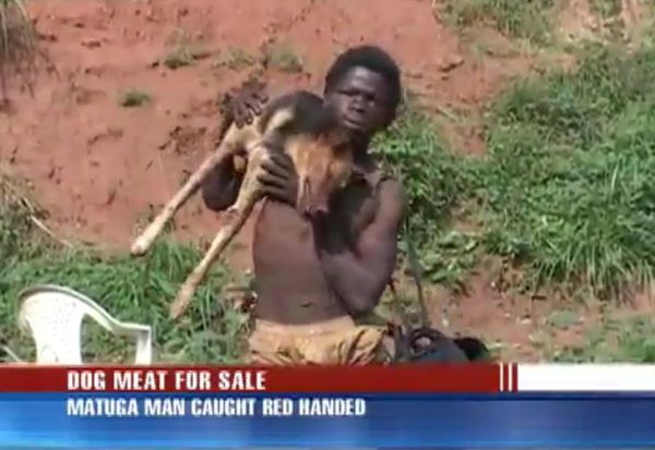 【閲覧注意】犬を虐殺し売りさばいている男へのインタビュー