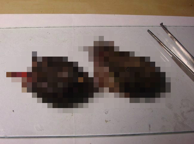 エイリアンアニマルを捕獲か。ロシアの川で謎の生物が見つかる