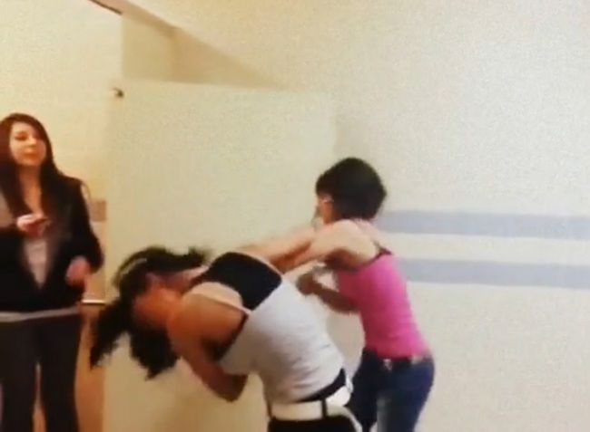 女版ファイトクラブ。女子トイレで殴り合う女の子たちの映像