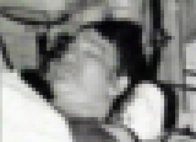【閲覧注意】ブルース・リーの死体写真（1枚）
