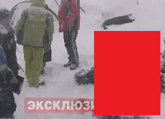 【閲覧注意】雪崩に巻き込まれて死んだ人間の姿がヤバい