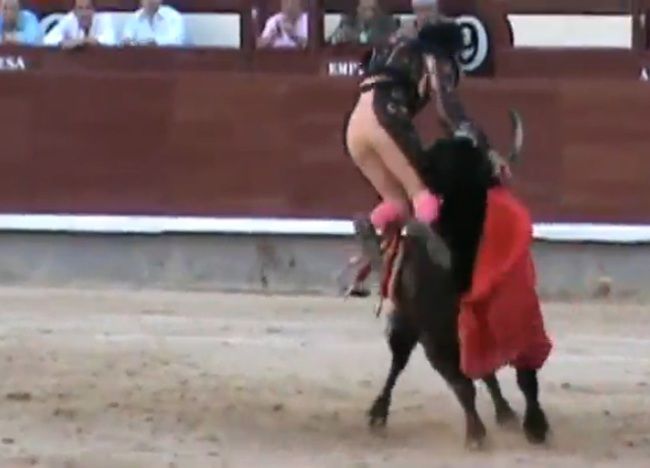 【閲覧注意】スペインの闘牛士、チ●コ辺りを突き刺される