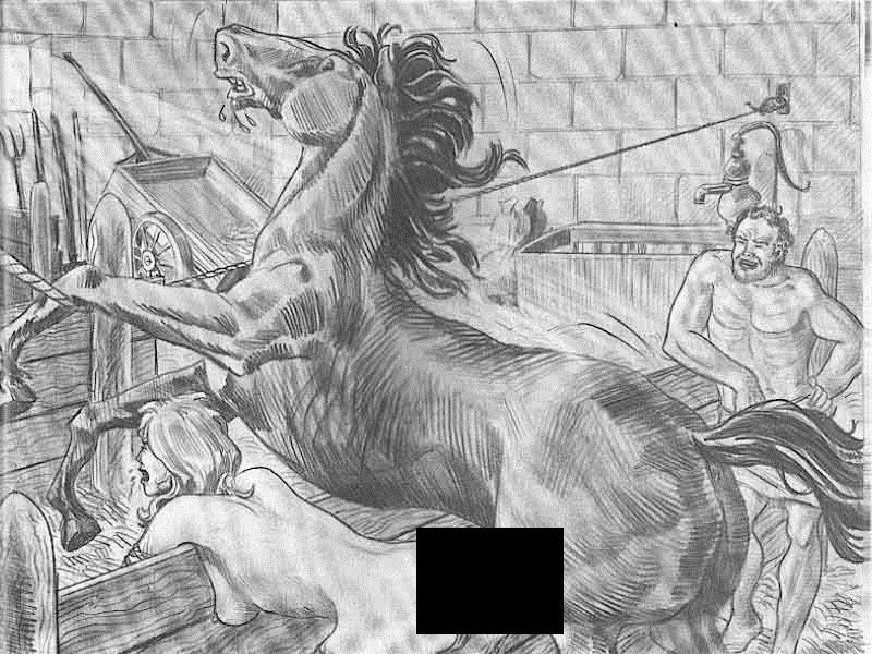 【閲覧注意】女性を動物に強姦させるという拷問（12枚）
