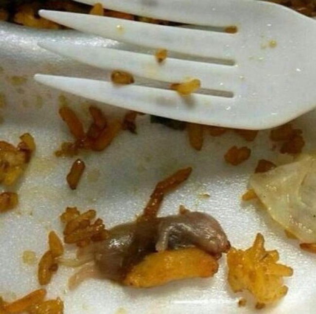 OTDoveZdyHfIAae1373443660_1373443664