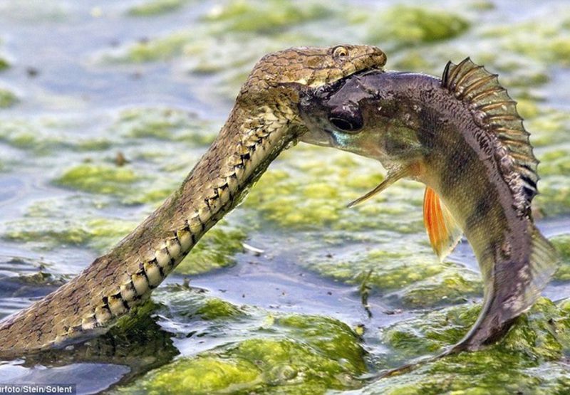 y9kDwYFhDKGpHNH1380539523_1380539533