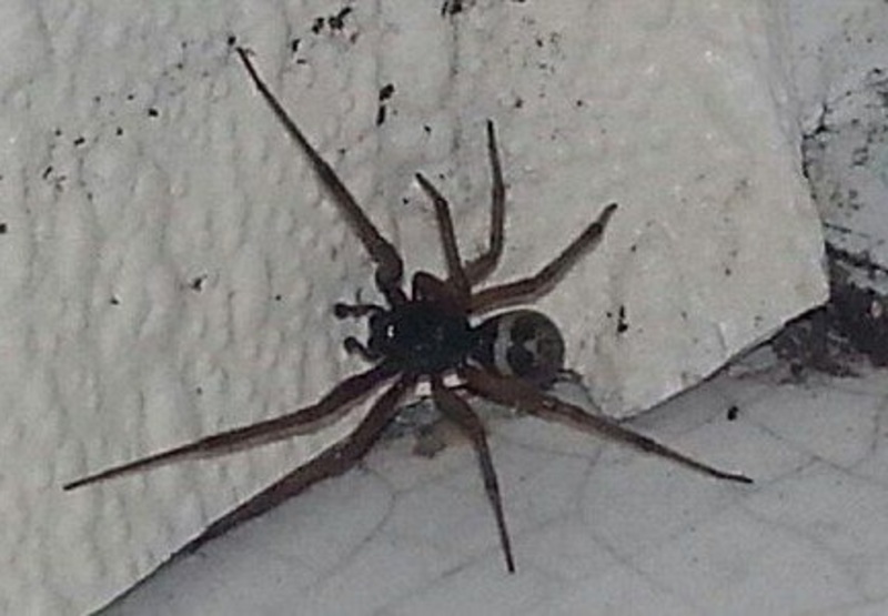 CLiX_vK95Up3u9k1381539591_1381539610