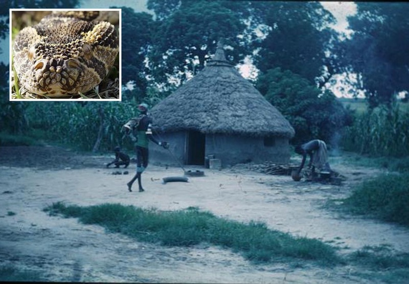 LoLoHJ4N7kuxa6U1380583616_1380583628