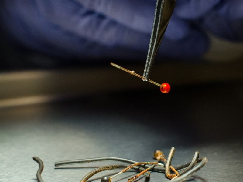 TaBxku_BXIls2Oq1381309295