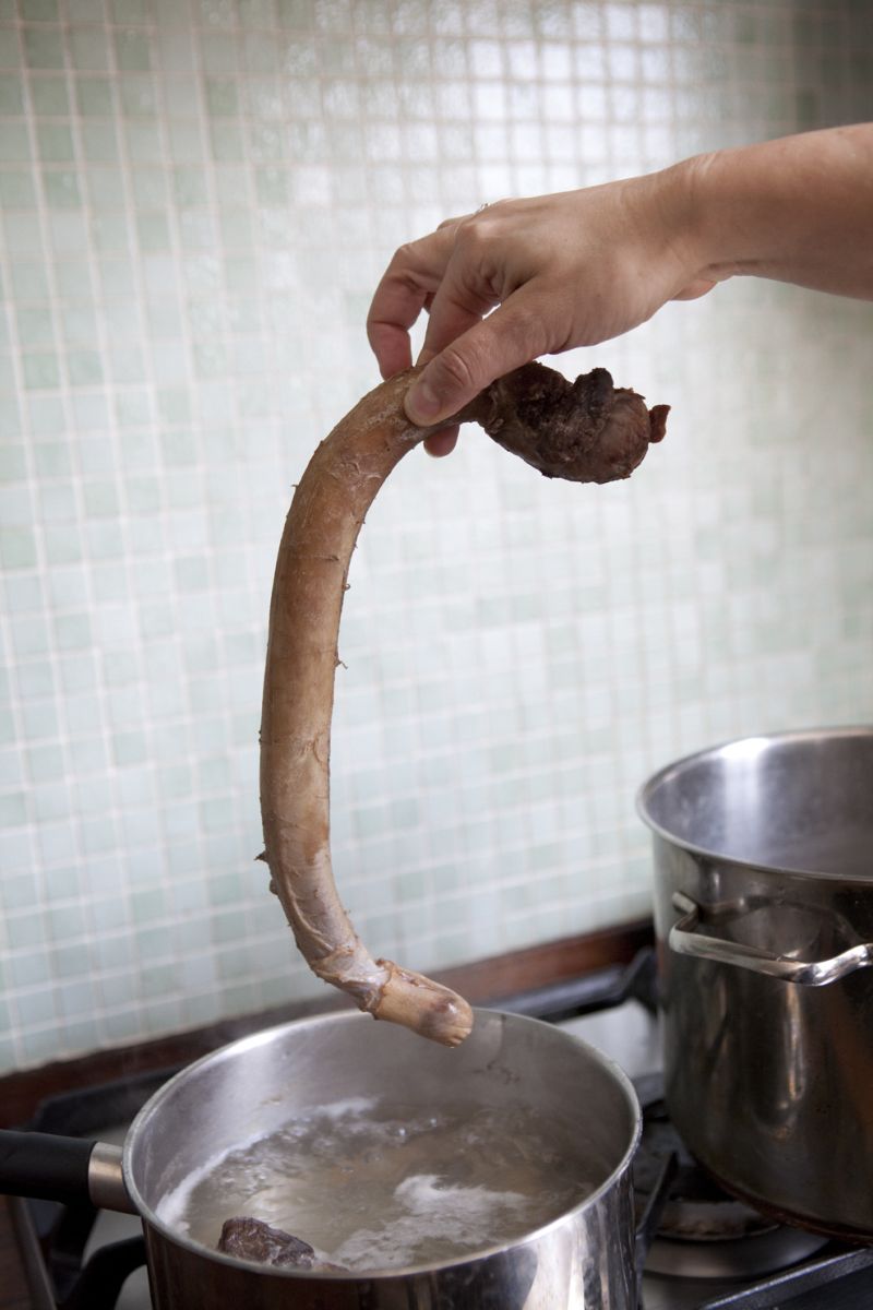 dick_soup_02