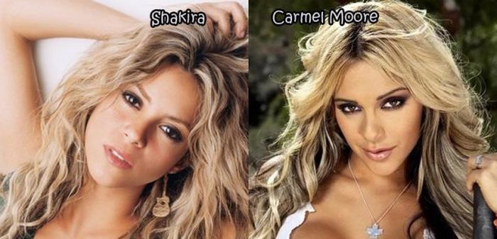 female_celebrities_and_their_doppelgangers_21