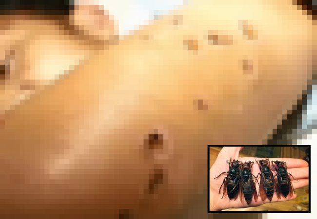 qlni9eA8YFMN8271381307578_1381307633