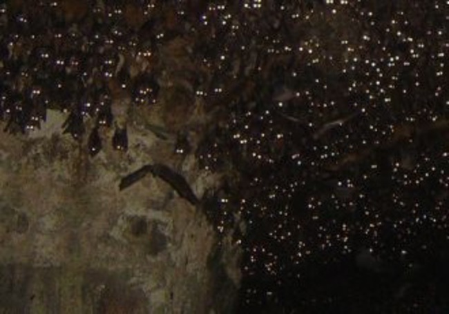 Hj2sN9CmD1J3QaG1383292959_1383292964