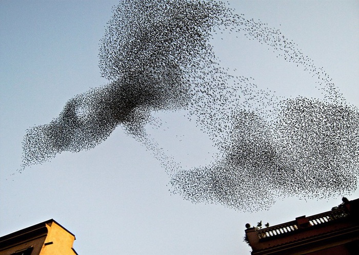 PreZWQkCP2qaUb41384909972_1384909978