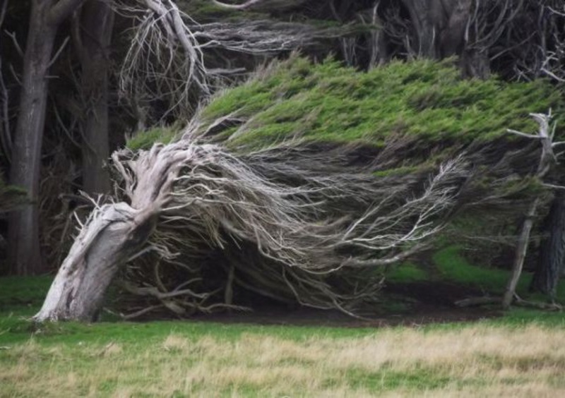 YOiXbLSZeVwa26x1384820825_1384820828