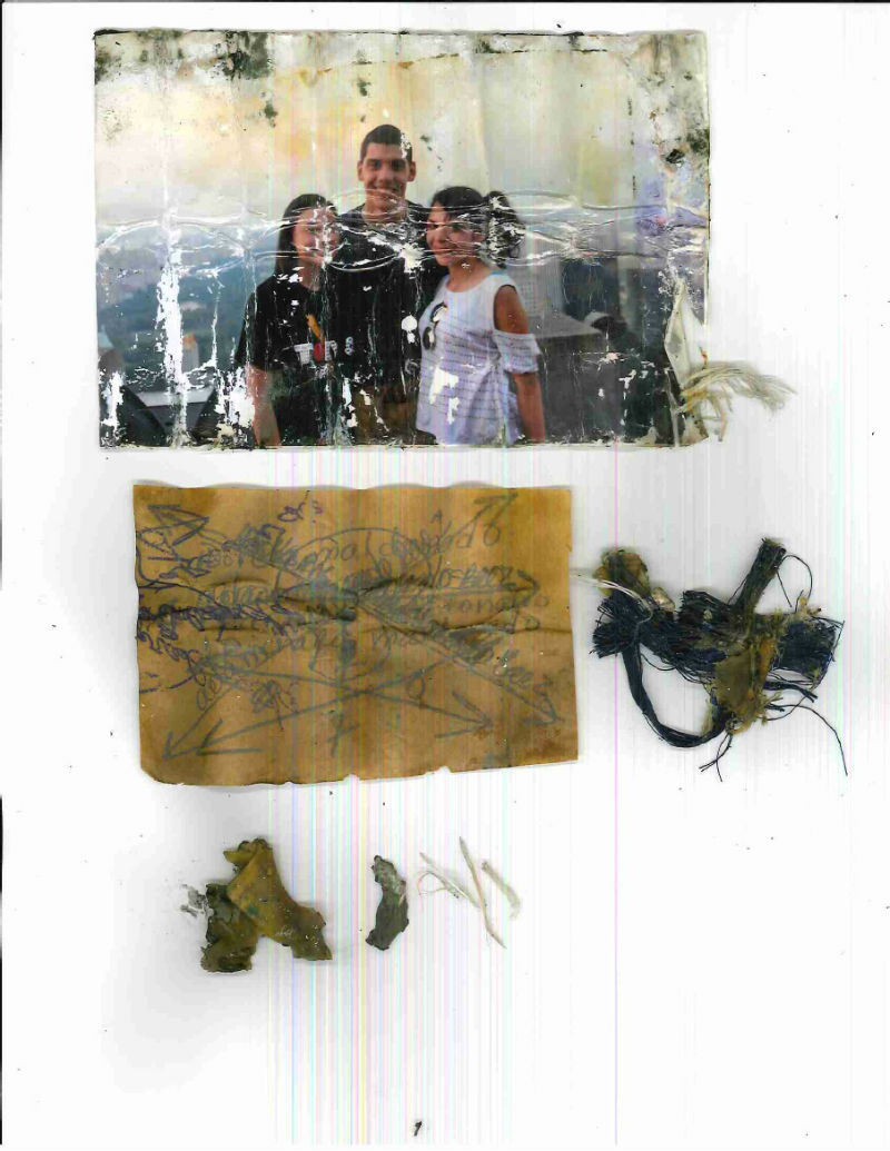 chicken_family_photo_06