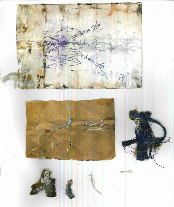 chicken_family_photo_07