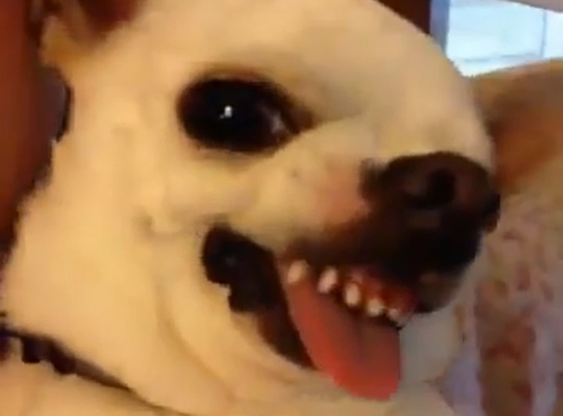 trt4YbOZ45r3LQs1383721207