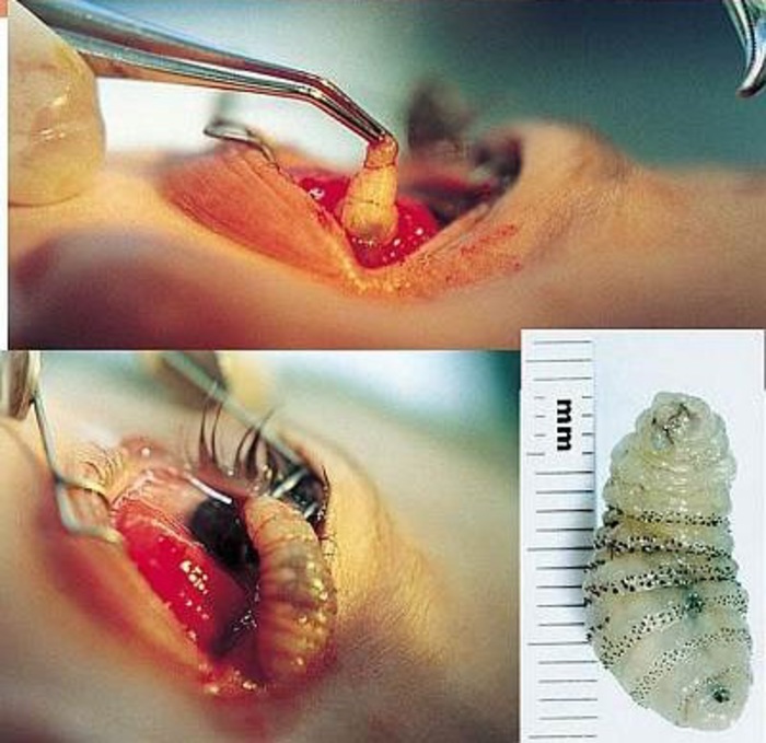 PVzAD4CYk8dJiJO1387346427_1387346431